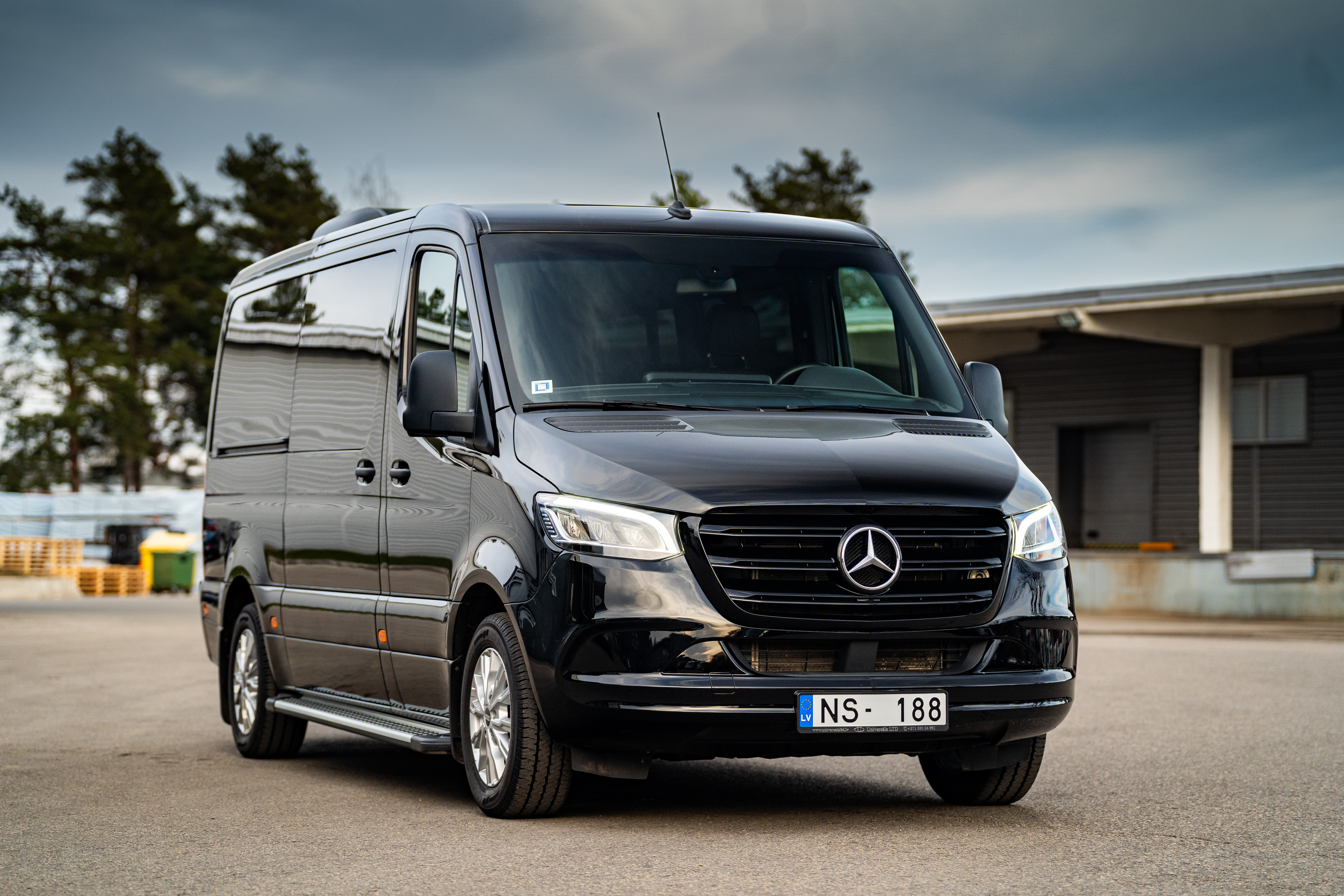 Kiwi standing on oval