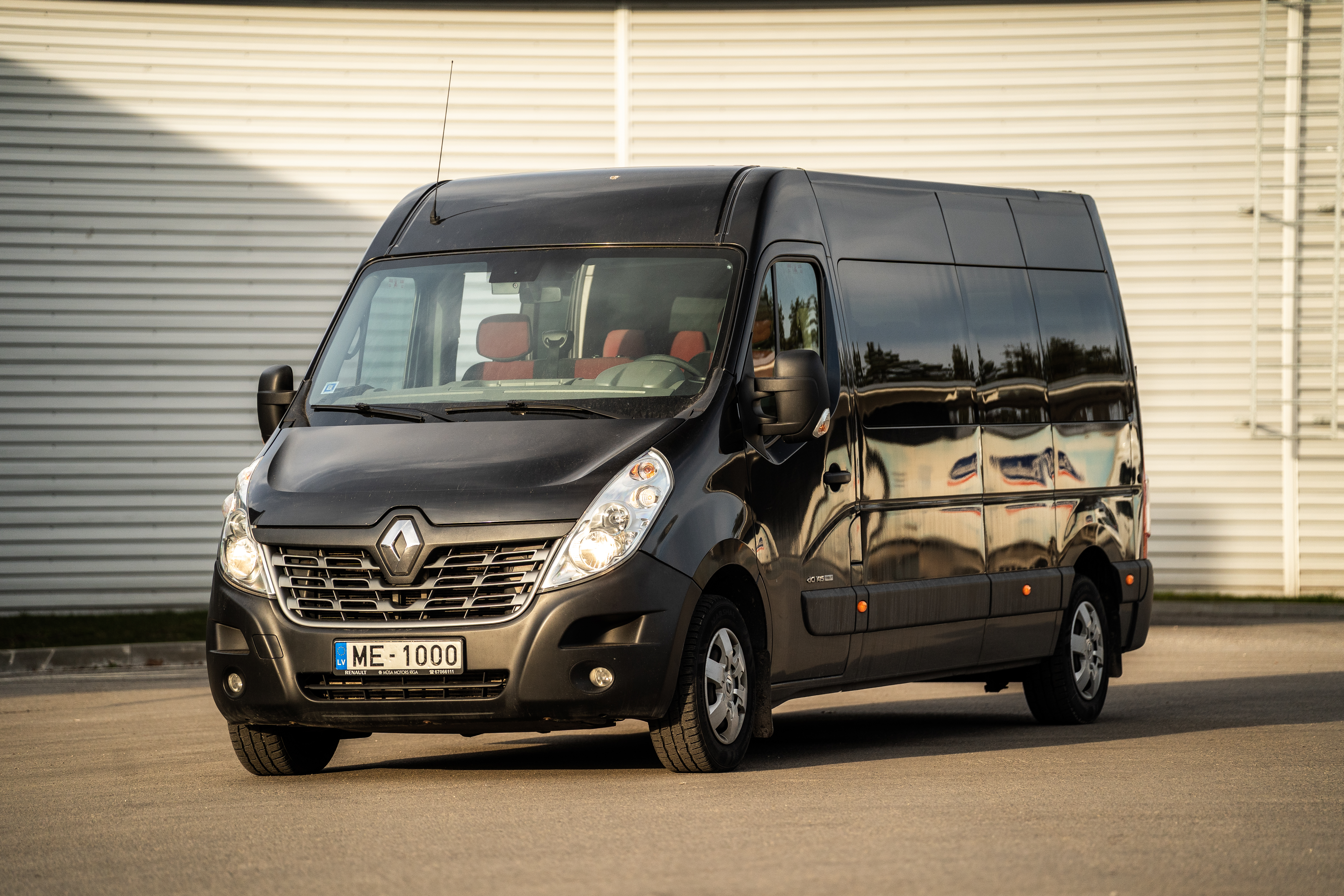 Kiwi standing on oval